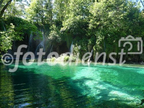 Die Plitvicer Seen in Kroatien zählen zu den größten und schönsten Nationalparks Europas. Offiziell 1949 gegründet wurde das knapp 300 km2 große Gebiet im hügeligen Karstgebiet unweit der Grenze zu Bosnien-Herzegowina 1979 als eines der ersten Naturdenkmäler weltweit in das UNESCO-Weltnaturerbe aufgenommen. Zu Ostern 1991 begann hier der Jugoslawien-Krieg mit blutigen Auseinandersetzungen zwischen serbischen Aufständischen und kroatischen Spezialeinheiten. Heute besuchen den Park jährlich etwa 900.000 Besucher. 