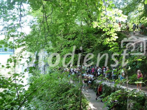 Die Plitvicer Seen in Kroatien zählen zu den größten und schönsten Nationalparks Europas. Offiziell 1949 gegründet wurde das knapp 300 km2 große Gebiet im hügeligen Karstgebiet unweit der Grenze zu Bosnien-Herzegowina 1979 als eines der ersten Naturdenkmäler weltweit in das UNESCO-Weltnaturerbe aufgenommen. Zu Ostern 1991 begann hier der Jugoslawien-Krieg mit blutigen Auseinandersetzungen zwischen serbischen Aufständischen und kroatischen Spezialeinheiten. Heute besuchen den Park jährlich etwa 900.000 Besucher. 