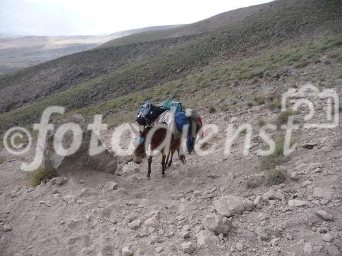 (C)Fotodienst/ Dr. Wilfried Seywald; Vom Basislager Gusfandsara auf 3.150 m geht es zu Fuß bergauf Richtung Damavand. Bis zur Schutzhütte Bargah-e Sevom auf 4.150 m passiert man Almwiesen mit Schaf- und Ziegenherden, Schotterfelder, bizarre Basaltgesteine, trockene Bachläufe, Lavafelder und zum Schluss vulkanisch geprägte Felslandschaften.