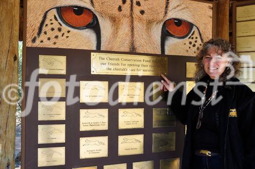 Die Gründerin und Direktorin der Gepard Schutz Reservates CCF Dr. Laurie Marker. The Founder and Director of the Cheetah Conservation Fund near Otjiwarongo and the waterberg plateau