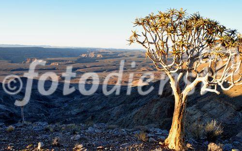 Der grandiose Ausblick  von der Fish River Canyon Lodge in die Tiefen der Schlucht der zweitgrössten Kluft der Welt. www.fishriverlodge-namibia.com