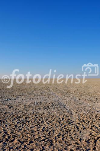 Sand, Salzkruste, Savanne: DIe Etosha Salzpfanne. Sand salt and savannah - the etosha salt pans in Namibia