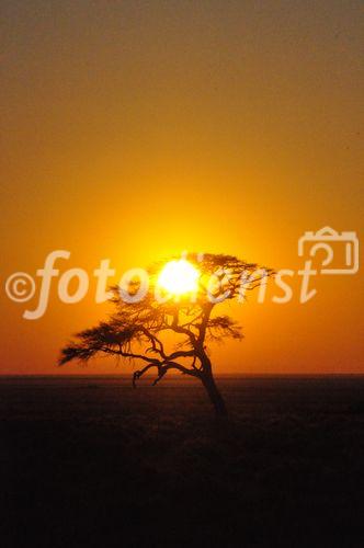 Kurz vor Sonnenuntergang ist das Licht am Schönsten und die Konturen der Wüste nehmen kontrastreiche Züge an. 
www.namibia-tourism.com