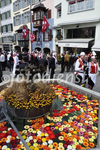 Blumen geschmückter Brunnen in der Altstadt von Zürich am Sechseläuten-Umzug, dem Fest der Zunftleute