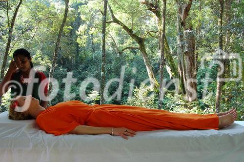 Naturmedizin pur: Das Ayurveda-Zentrum Duke's Forest Lodge in Kerala liegt mitten in einer Gummiplantage im Wald. 