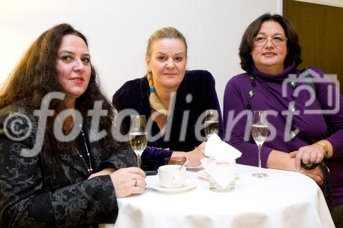 (c) fotodienst / Anna Rauchenberger - Wien, am 02.12.2009 -  Heute wurde im Rainers Hotel Gudrunstraße im 10. Wiener Gemeindebezirk die neue Jazz-CD 'the motown story' von der Vienna International Hotelmanagement AG vorgestellt.