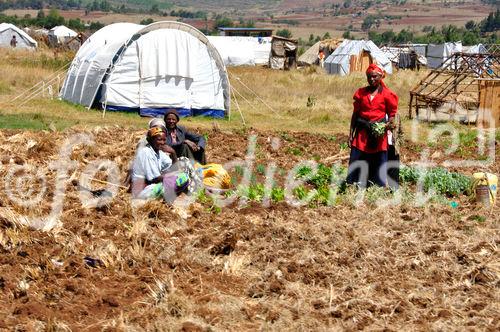 Rot-Kreuz-Flüchtlingslager in Eldoret im kenyanischen Rift-Valley, wo noch immer über 100'000 Vertriebene in den Durchgangslagern der Hilfsorganisationen leben 