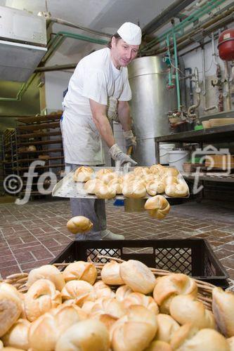 Bäckerei Schrott, Wien 15, Produktion
(C) fotodienst, Martina Draper