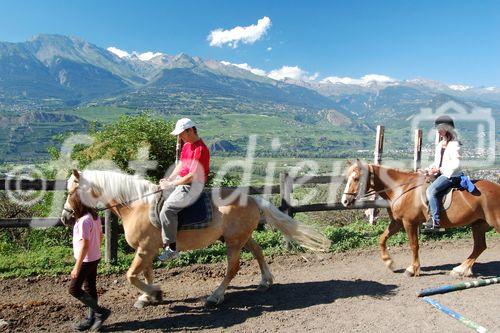 Die ersten Reitversuche sind noch kein Vergnügen, aber mit ein wenig Übung haben die Kinder grosse Freude am Reitsport im Reitstall in den Walliser Bergen. The first few horse-riding hours are hard, but with a little bit more experience it becomes a wonderfull leisure sport