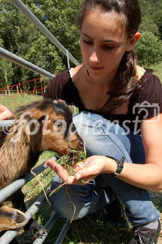 Kinder lieben Tiere und viele freuen sich auf einen Urlaub auf dem Bauernhof. Sie lernen viel über die Natur, die Tiere und die Arbeit der Bauern, children love holidays on a farm and they will learn a lot about the work of the farmers, the nature and the animals