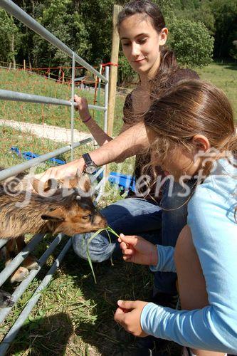 Kinder lieben Tiere und viele freuen sich auf einen Urlaub auf dem Bauernhof. Sie lernen viel über die Natur, die Tiere und die Arbeit der Bauern, children love holidays on a farm and they will learn a lot about the work of the farmers, the nature and the animals