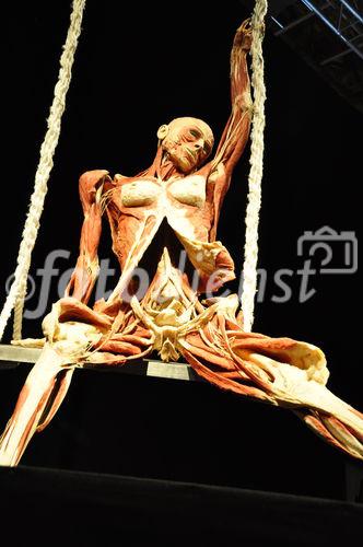 Gunter von Hagens umstrittene und in Deutschland verbotene Ausstellung Körperwelten wird in Zürich im Puls 5 vom 11. September bis 28. Februar 2010 gezeigt. Gunter von Hagens art-exhibition about human bodies will be shown in Zürich from september 11th to february 28th in the Puls 5 areal. 