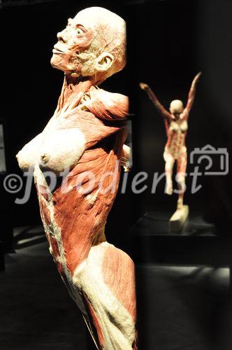 Gunter von Hagens umstrittene und in Deutschland verbotene Ausstellung Körperwelten wird in Zürich im Puls 5 vom 11. September bis 28. Februar 2010 gezeigt. Gunter von Hagens art-exhibition about human bodies will be shown in Zürich from september 11th to february 28th in the Puls 5 areal. 