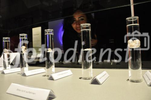 Embryonale Kunstwerke an der Leinwand und im Reagenzglas, sezierte Gliedmassen und Innereien, das sind für viele anstössige Bilder. Gunter von Hagens Ausstellung provoziert die erhitzten Gemüter.