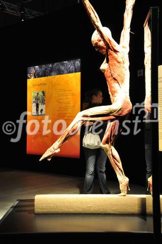 Gunter von Hagens umstrittene und in Deutschland verbotene Ausstellung Körperwelten wird in Zürich im Puls 5 vom 11. September bis 28. Februar 2010 gezeigt. Gunter von Hagens art-exhibition about human bodies will be shown in Zürich from september 11th to february 28th in the Puls 5 areal. 