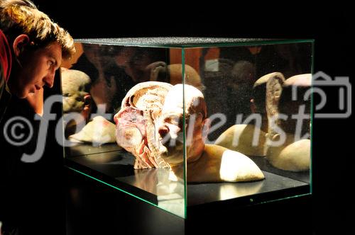 Gunter von Hagens umstrittene und in Deutschland verbotene Ausstellung Körperwelten wird in Zürich im Puls 5 vom 11. September bis 28. Februar 2010 gezeigt. Gunter von Hagens art-exhibition about human bodies will be shown in Zürich from september 11th to february 28th in the Puls 5 areal. 