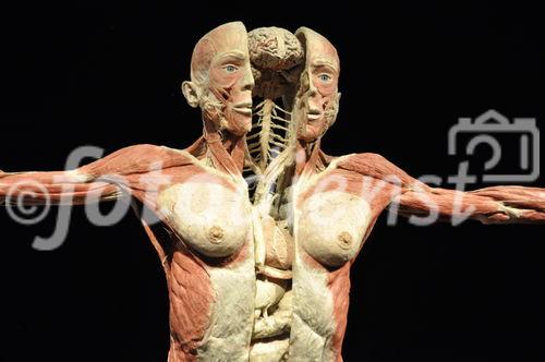 Gunter von Hagens umstrittene und in Deutschland verbotene Ausstellung Körperwelten wird in Zürich im Puls 5 vom 11. September bis 28. Februar 2010 gezeigt. Gunter von Hagens art-exhibition about human bodies will be shown in Zürich from september 11th to february 28th in the Puls 5 areal. 