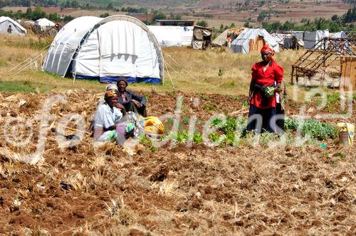 Kenya Red Cross Refugie Camp, where still 100'000 people are living in weak conditions.  Rot-Kreuz-Flüchtlingslager in Eldoret. Noch immer leben 100'000 Vertriebene in den Durchgangslagern der Hilfsorganisationen 