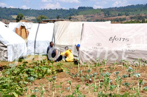 Kenya Red Cross Refugie Camp, where still 100'000 people are living in weak conditions.  Rot-Kreuz-Flüchtlingslager in Eldoret. Noch immer leben 100'000 Vertriebene in den Durchgangslagern der Hilfsorganisationen 