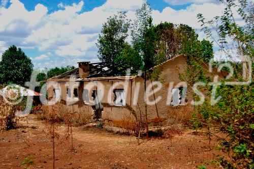 Im kenyanischen Bürgerkrieg abgefackelte Bauernhäuser in Eldoret im Rift Valley, wo noch immer über 100'000 Vertriebene in Flüchtligscamps leben. 