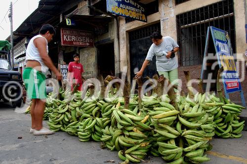 Umweltminister Brack sagte, dass Peru der weltgrößte Bio-Bananen-Exporteur sei und über 20 Projekte für nachhaltige Energieerzeugung im Umfang von 500 Mio.Dollar teilweise realisiert hat. Er betonte auch dass die Regierung Alan Garcia das Gesamtvolumen der nachhaltigen Investionen durch insgesamt 152 Projekte auf rund acht Mia. Dollar hochschraubte. Ziel sei es, die Brandrodungsfläche von jährlich 150.000 Hektar auf Null zu senken, was die Indianervertreter als frommes Wunschdenken bezeichneten. 