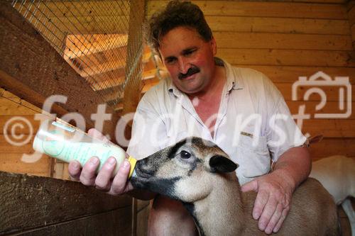 (C)fotodienst/Julia Fuchs, 19.8.2009; Gnadenhof Riefensberg Vorarlberg, geführt von Rudi Längle, Am Bild: Rudi Längle