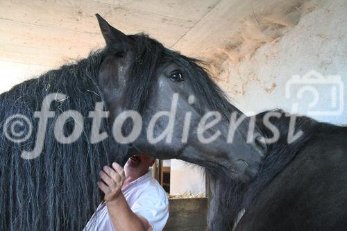 (C)fotodienst/Julia Fuchs, 19.8.2009; Gnadenhof Riefensberg Vorarlberg, geführt von Rudi Längle, Am Bild: Rudi Längle