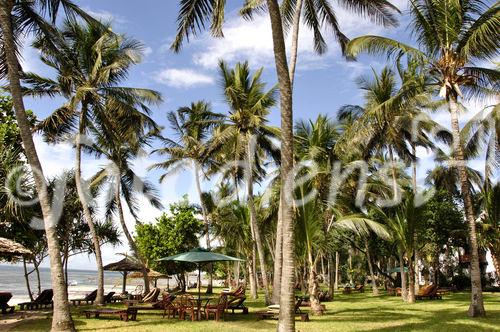 Schöne und gepflegte Gartenanlage im Serena Beach Hotel in Mombasa. Beautifull Garden at Serena Beach Hotel in Mombasa