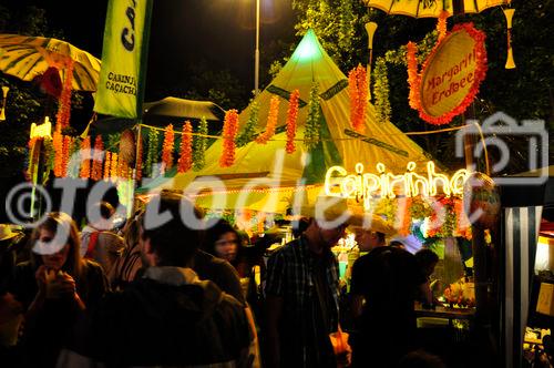 Coole drinks, heisse Party und Bombenstimmung in der Latino-Metropole Europas anlässlich des 15. Caliente Musikfestival und Strassenfest in Zürich