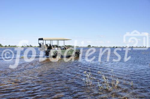 Das Okavango Delta wurde seit 46 Jahren nicht mehr so stark überflutet. Nun verläuft die Safari meist im Wasser der Sümpfe in der Kalahari-Wüste