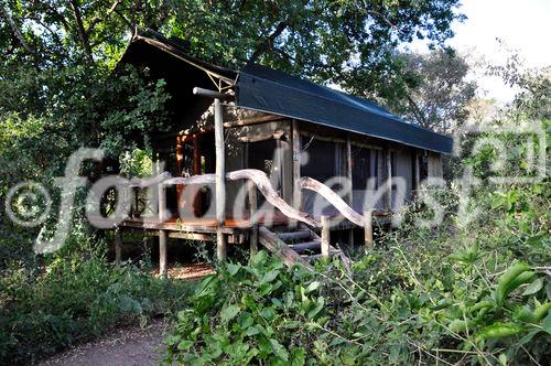 Wohnen im Busch: Living in the bush: Forest Lodge Maun. Wilderness-Camp in Botswana's Okavango Delta in der Kalahari-Wüste