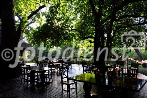 Die Veranda der Tree Forest Lodge in Maun in der Kalahri Wildnis 