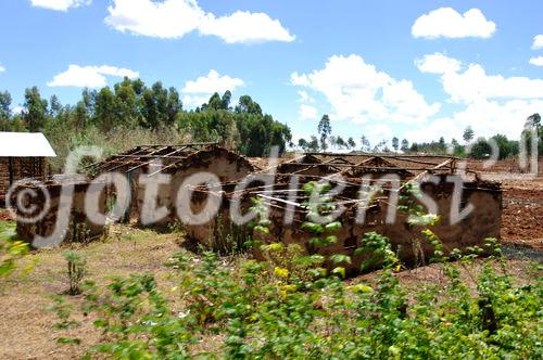 Bei den politischen Unruhen in Kenya abgebranne Farmhäuser in Eldoret, im Rift Valley, wo 300'000 Personen vertrieben wurden und noch immer 100'000 in Flüchtlingscapms leben. Burned down houses after the political riots in Kenias Rift Valley near Eldoret, where more than 300'000 people fleet and more than 1200 died