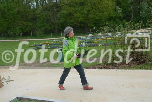 Bad Schallerbach 'BOTANICA 2009' - Presseführung durch Landesgartenschau