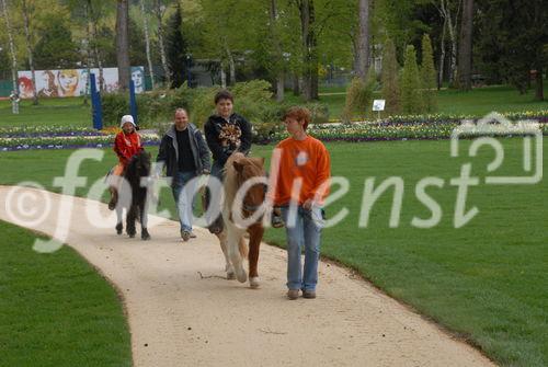 Bad Schallerbach 'BOTANICA 2009' - Presseführung durch Landesgartenschau