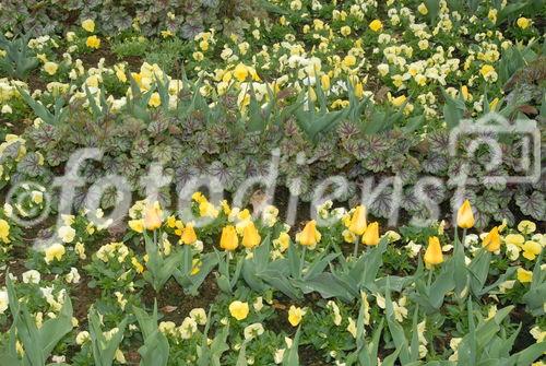 Bad Schallerbach 'BOTANICA 2009' - Presseführung durch Landesgartenschau