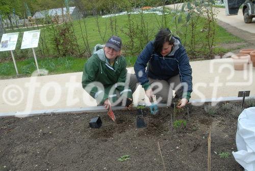 Bad Schallerbach 'BOTANICA 2009' - Presseführung durch Landesgartenschau