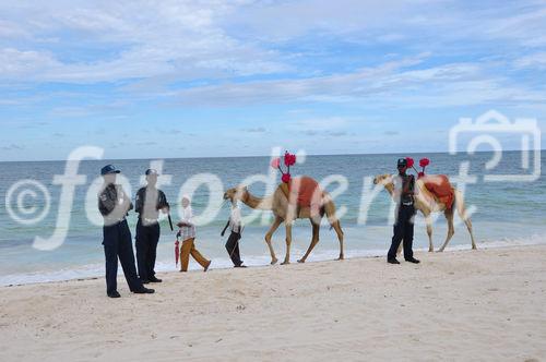 Kenyians are waiting for more tourists - not only for riding a camel at Mombasa Beach. Die Kenyaner in Mombasa warten sehnsüchtig auf die Rückkehr der Touristen, wie hier dieser Kameltreiber an Mombasas Strand