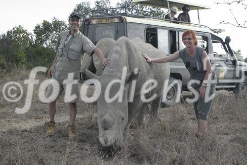 Gewagte Sache: Streicheln eines (zahmen) Rhinozeros im Ol Pejeta Sanctuary Sweetwater, wo die Tiere wieder ausgewildert werden.
Risky love to hug a rhino even it is used to humans. This rhino will be soon released and then not everybody is so friendly like us