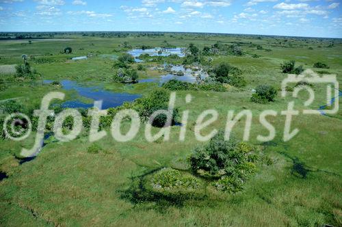 Okavango-Delta-Sümpfe: Der Garten Eden inmitten der Kalahari wurde seit 46 Jahren nicht mehr so stark überflutet.Garden Eden in the Kalahari Desert: The Okavango Delta faces the biggest floods since 46 years. 