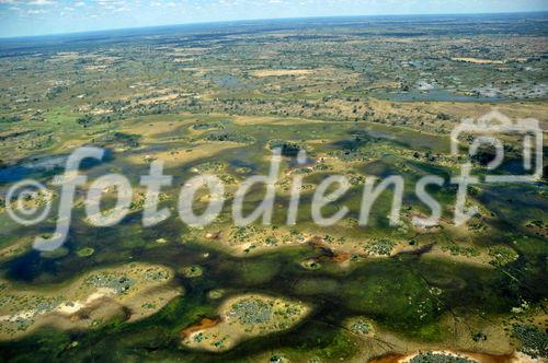 Das Okavango-Delta - der Welt grösstes Binnendelta in der Kalahri - ist seit über 45 Jahren nicht mehr so von Angola aus überflutet worden. The biggest floods (from Angola) since 46 years has hit the Garden Eden in the Kalahari Desert.