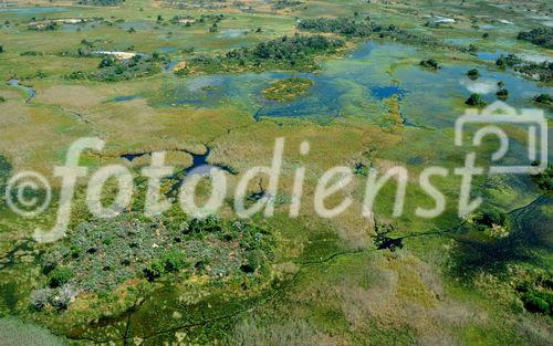 Das Okavango-Delta - der Welt grösstes Binnendelta in der Kalahri - ist seit über 45 Jahren nicht mehr so von Angola aus überflutet worden. The biggest floods (from Angola) since 46 years has hit the Garden Eden in the Kalahari Desert.