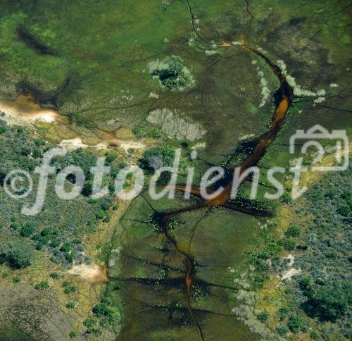 Das Okavango-Delta - der Welt grösstes Binnendelta in der Kalahri - ist seit über 45 Jahren nicht mehr so von Angola aus überflutet worden. The biggest floods (from Angola) since 46 years has hit the Garden Eden in the Kalahari Desert.