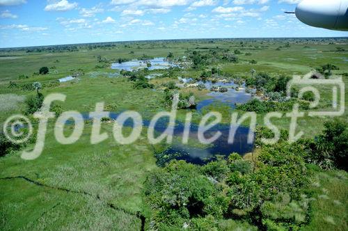 Okavango-Delta-Sümpfe in der Kalahari-Wüste: Der Garten Eden inmitten der Kalahari wurde seit 46 Jahren nicht mehr so stark überflutet. Garden Eden in the Kalahari Desert: The Okavango Delta faces the biggest floods since 46 years. 