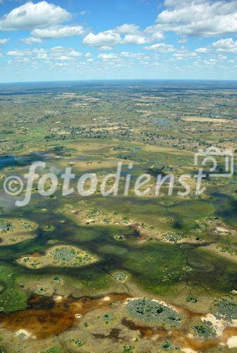 Die grösste Flut in den Okavango-Sümpfen in der Kalahri-Wüste seit 46 Jahren. 