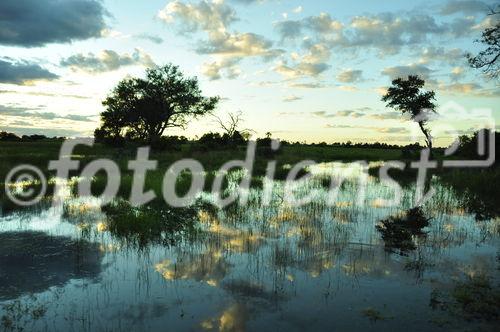 Die grösste Flut in den Okavango-Sümpfen in der Kalahri-Wüste seit 46 Jahren. 