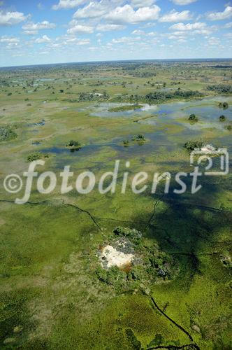 Das Okavango-Deltas, der Welt grösstes Binnendelta in der Kalahri ist seit über 45 Jahren nicht mehr so von Angola aus geflutet worden.