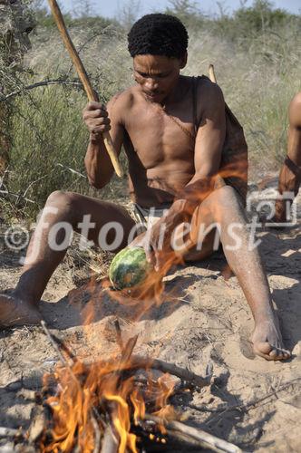 Der Naro-Bushmen röstet die Melone über dem Feuer. Manche sind auch roh gut und wässrig süsslich. Naro-Buschmen near Ghanzi and Grassland Safari Lodge is roasting a melon. 