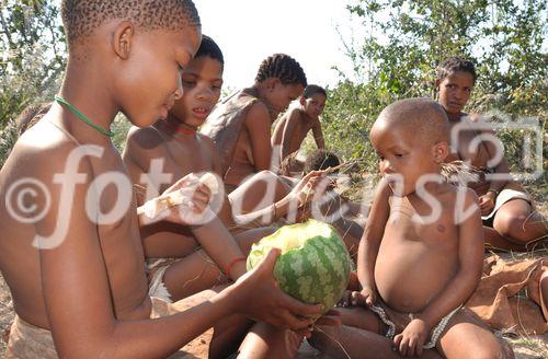 Naro-San Bushmen, Frauen, Mädchen, und Knaben essen eine wilde Melone in der Zentral-Kalahri