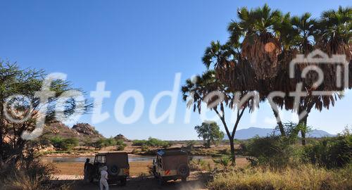 Oase in der Wüste: Fauna & Flora am Ngoro River im Shaba & Samburu Nationalpark 